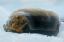 _DSC6658_edited-1