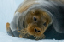 _DSC6660_edited-1