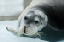 _DSC6680_edited-1