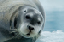 _DSC6681_edited-1