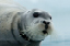 _DSC6683_edited-1