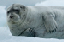_DSC6724_edited-1