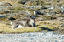 _DSC6755_edited-1