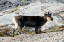 _DSC6765_edited-1