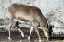 _DSC6784_edited-1