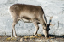 _DSC6788_edited-1